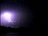 user558 pic60 1281102618